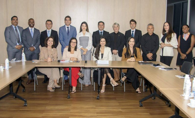 Câmara de Relações de Consumo debate planejamento para 2027 e estratégias para o crescimento empresariaL